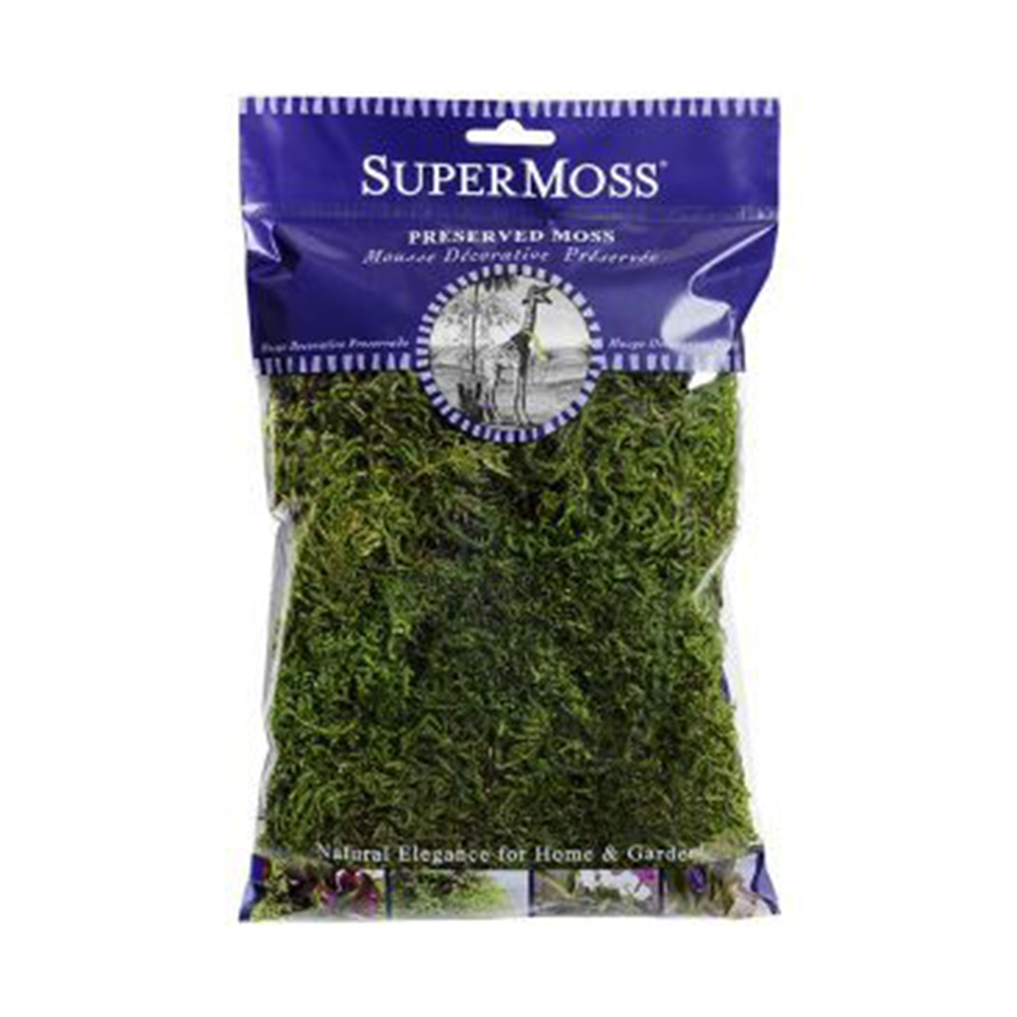 Super Moss Chartreuse Spanish Moss