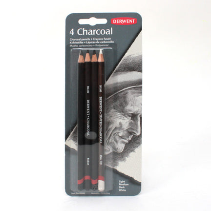 5 crayons fusain - Beaux-Arts - Winsor et Newton - Studio Collection -  Bonne affaire