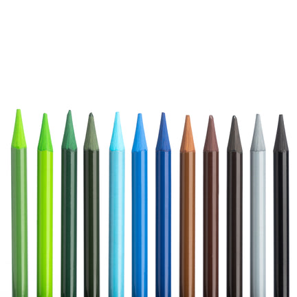 Ensemble de crayons de couleur à l'huile en bois tendre pour