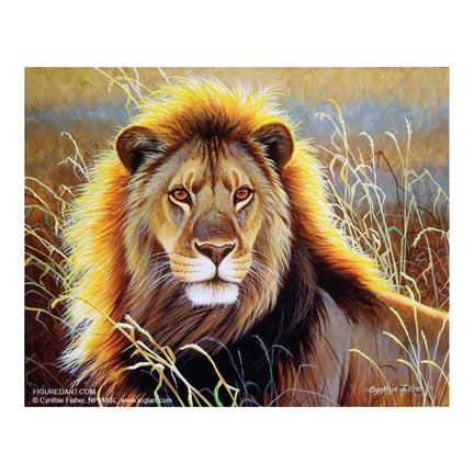 Paint by Numbers Kit - "Savannah Lion"