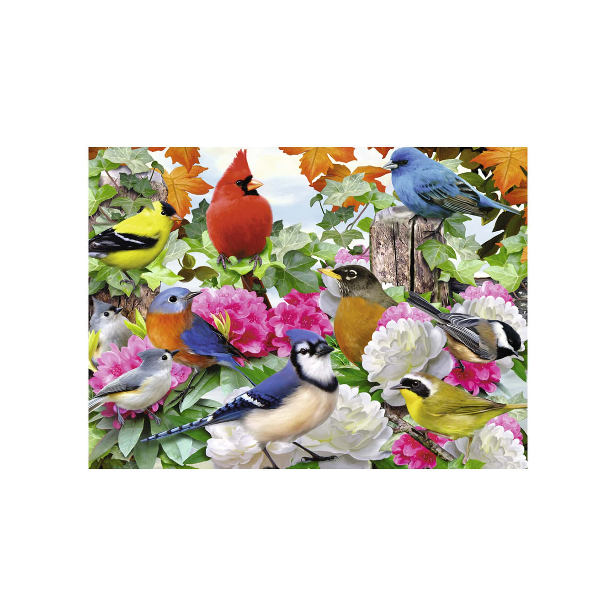 Ravensburger garden birds deals 500 piece puzzle