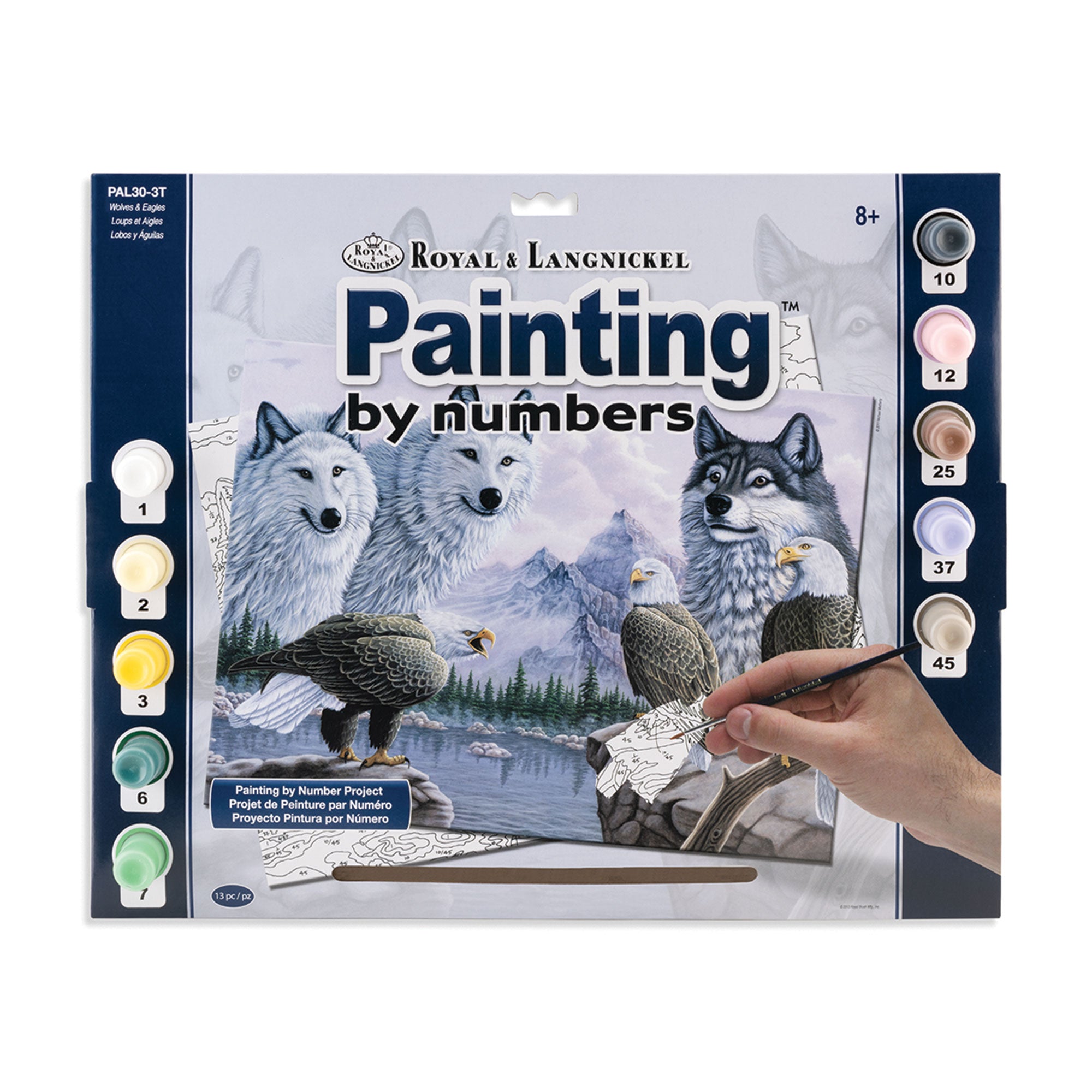 Painting by Numbers Kit - 