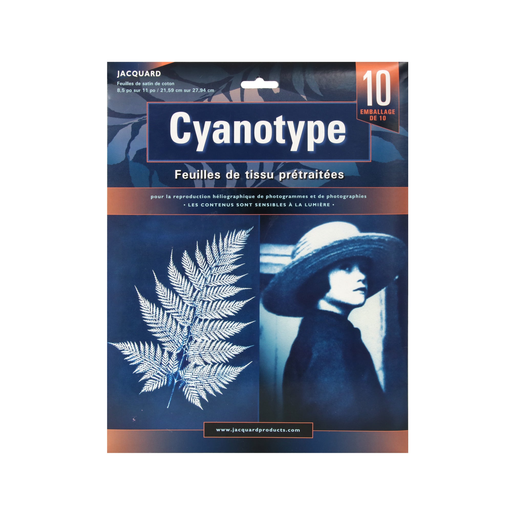 À la découverte du Cyanotype avec Chloé Comte, collaboratrice DeSerres